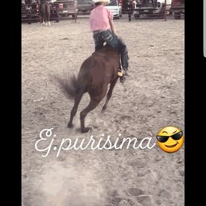 Meet your Posher, Jesus